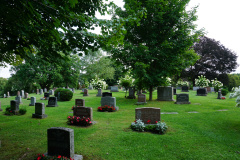 DSC06391