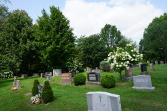 DSC06395