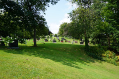 DSC06413