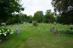 DSC06431