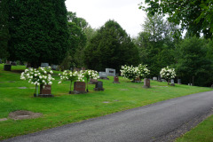 DSC06441