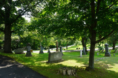 DSC06460