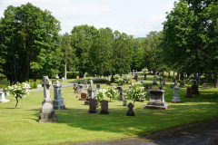 DSC06511